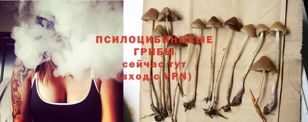 эйфоретик Алексин