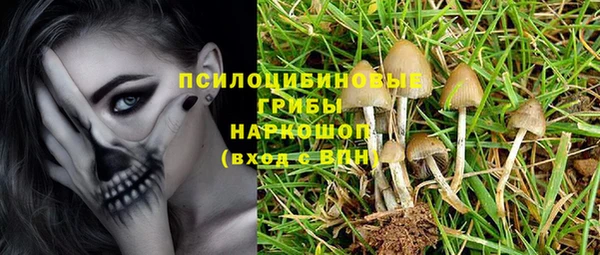 мяу мяу мука Алзамай