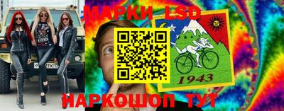 МДПВ Гатчина