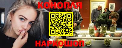 МДПВ Гатчина