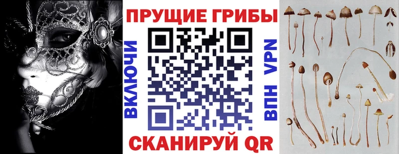 Галлюциногенные грибы мицелий  Сургут 