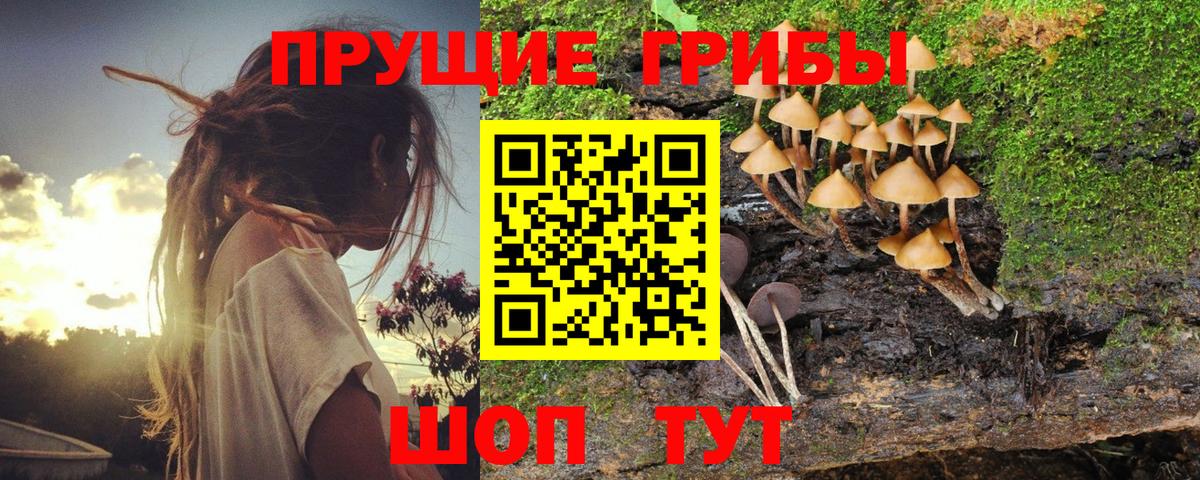 ГАШ  Экстази  Меф МЯУ МЯУ   Вход с VPN  Марихуана  Сургут  Cocaine 