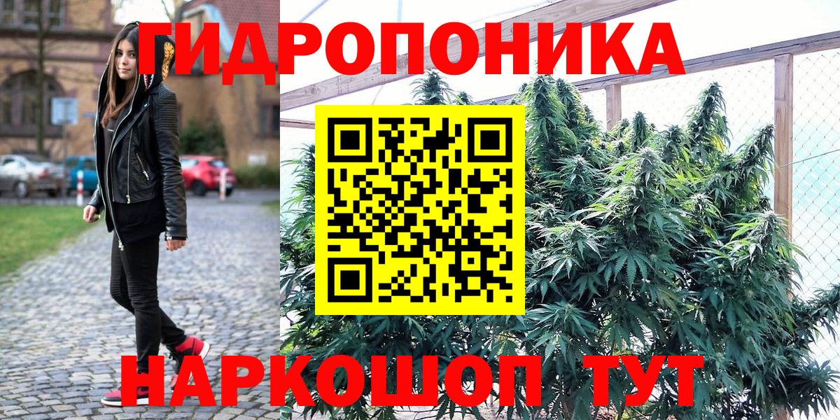 Сургут  Бошки Шишки сатива  Шишки марихуана White Widow  Вход с VPN  Бошки марихуана THC 21% 